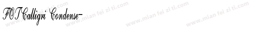 FOTCalligri Condense字体转换